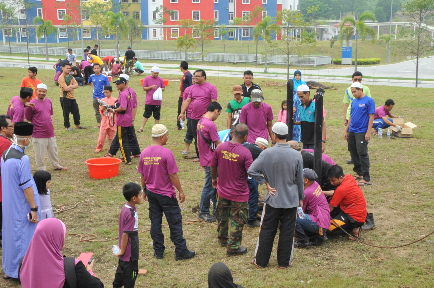 PRO15 150 KORBAN HAS 6931